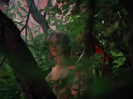 Le gars a accidentellement vu une fille nue dans la forêt